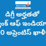 Bank of India Apprentice Recruitment 2025