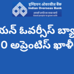 Indian Overseas Bank Apprentice Recruitment 2025