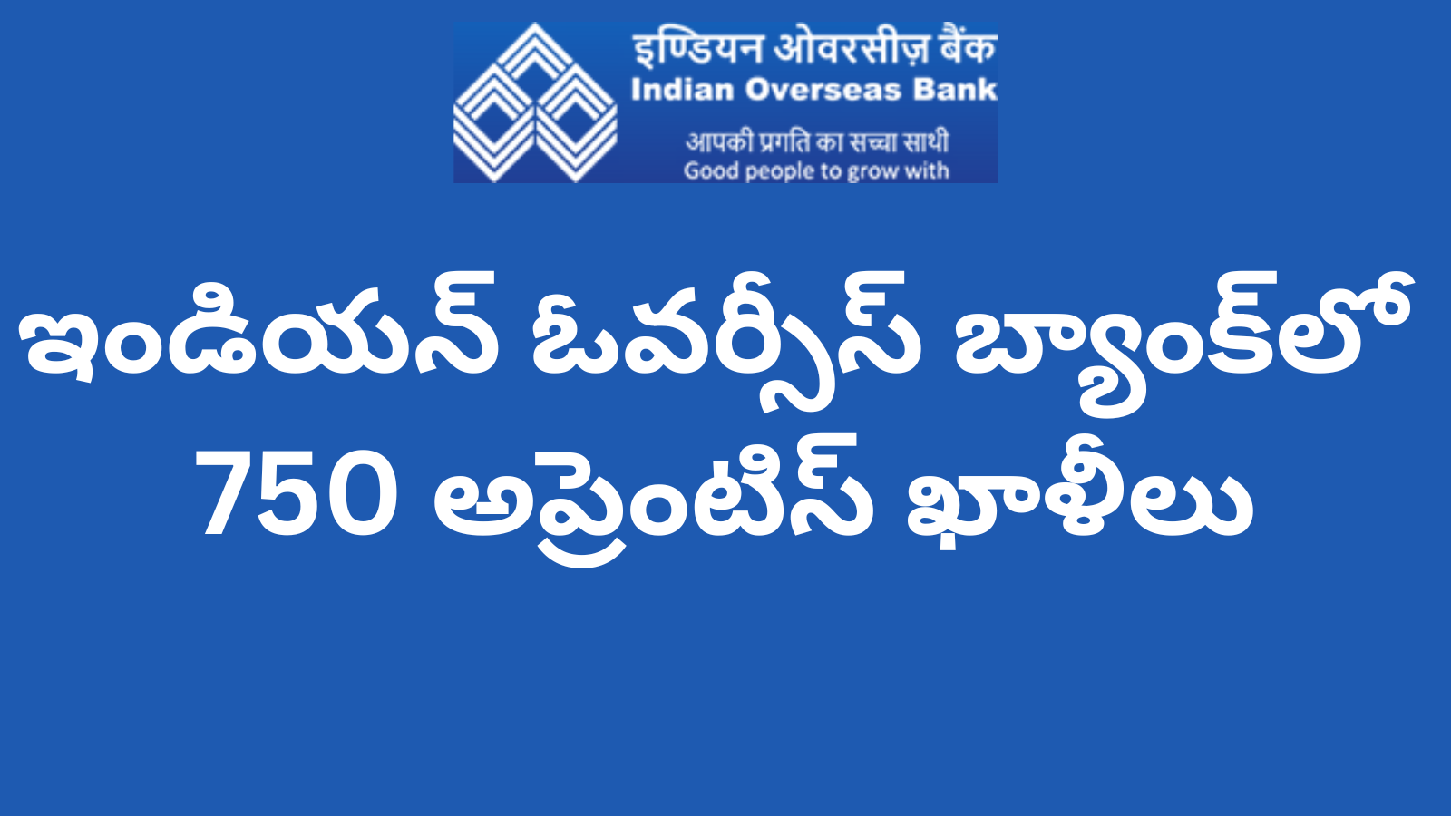 Indian Overseas Bank Apprentice Recruitment 2025