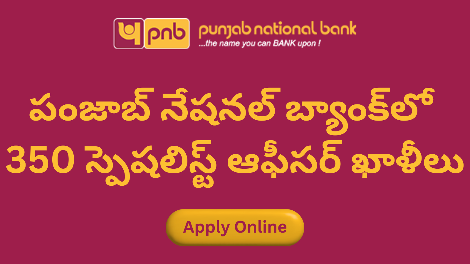 Punjab National Bank SO Recruitment 2025
